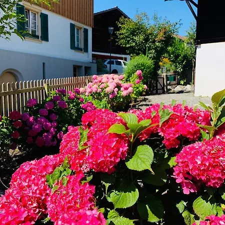 Homestay Chalet Jungfrau View *