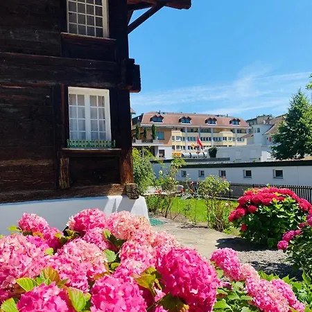 Chalet Jungfrau View * Interlaken