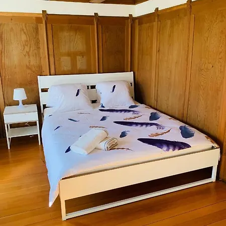 Chalet Jungfrau View Homestay *