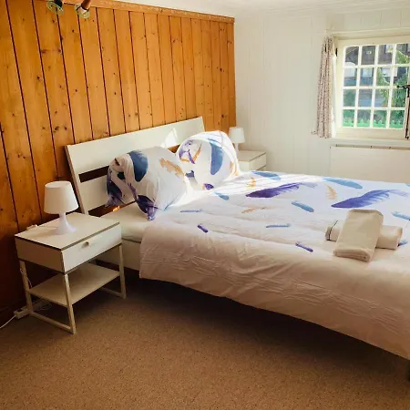 Chalet Jungfrau View Homestay Interlaken