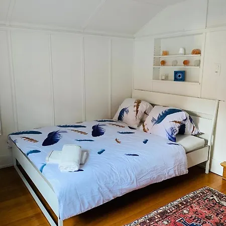 Chalet Jungfrau View Homestay